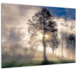 Fa a ködben képe (70x50 cm)