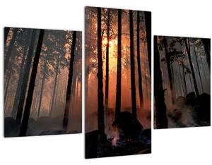Sötét erdő képe (90x60 cm)