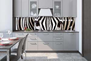 Konyhai fotótapéta - zebra 260 x 60 cm