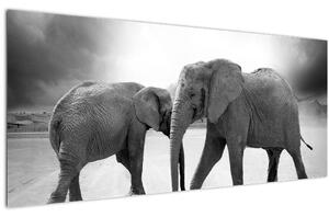 Kép - fekete fehér elefántok (120x50 cm)