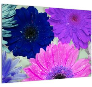 Színes virágok képe (70x50 cm)