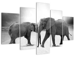 Kép - fekete fehér elefántok (150x105 cm)