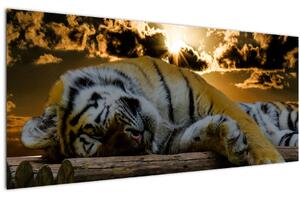 Alvó tigris képe (120x50 cm)