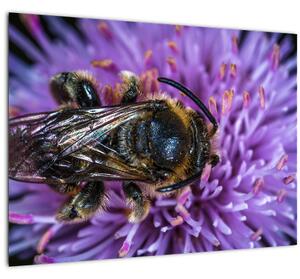 Méh a virágon képe (70x50 cm)