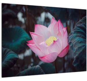 Rózsaszín virág képe (70x50 cm)