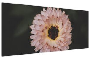Narancsságra virág képe (120x50 cm)