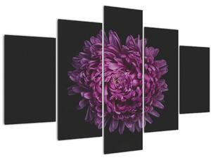 Lila virág képe (150x105 cm)