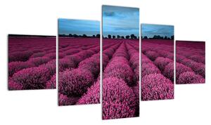 Modern képek - virágok (125x70cm)