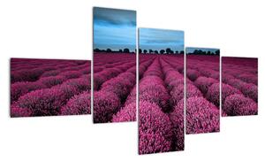 Modern képek - virágok (150x85cm)