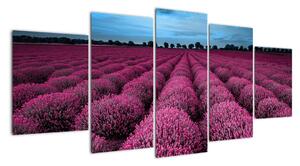 Modern képek - virágok (150x70cm)