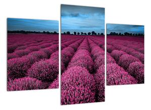 Modern képek - virágok (90x60cm)