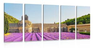 5-részes kép Provence levandulával
