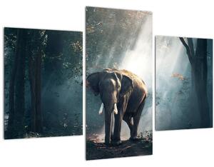 Elefánt a dzsungelben képe (90x60 cm)