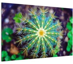 Kaktusz kép (90x60 cm)