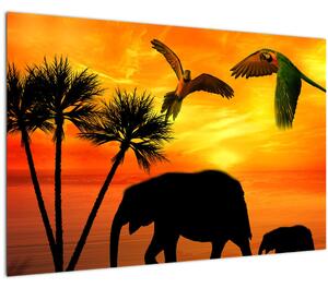 Kép - papagájok és elefántok (90x60 cm)