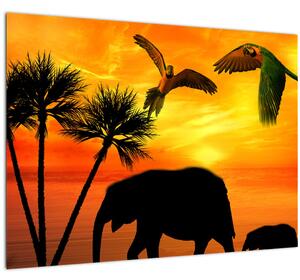 Kép - papagájok és elefántok (70x50 cm)