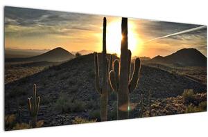 Kép - kaktuszok a napon (120x50 cm)