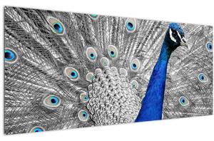 Kék páva képe (120x50 cm)