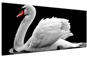 Fekete-fehér hattyúk képe (120x50 cm)