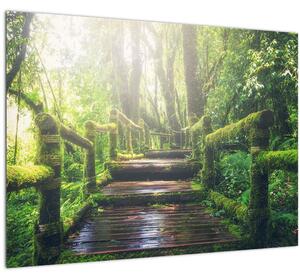 Kép - falépcsők az erdőben (70x50 cm)