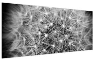 Szürke pitypang képe (120x50 cm)