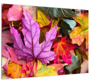 Kép - őszi levelek (70x50 cm)