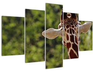 A zsiráf képe hátulról (150x105 cm)