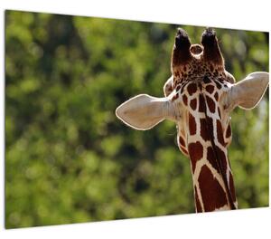 A zsiráf képe hátulról (90x60 cm)