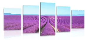 5 részes kép végtelen levandula mező