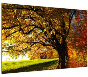 Egy őszi fa képe (90x60 cm)