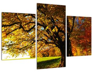 Egy őszi fa képe (90x60 cm)