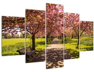 Kép - cseresznye ültetvény (150x105 cm)