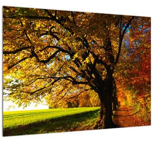 Egy őszi fa képe (70x50 cm)
