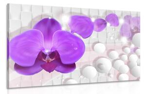 Kép orchidea absztrakt hattéren