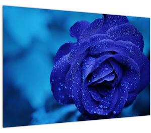 Kék rózsa képe (90x60 cm)