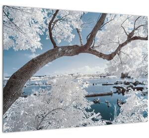 A víz mellett egy havas fa képe (70x50 cm)