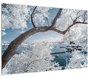 A víz mellett egy havas fa képe (90x60 cm)