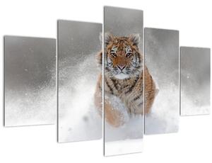 Futó tigris a hóban képe (150x105 cm)