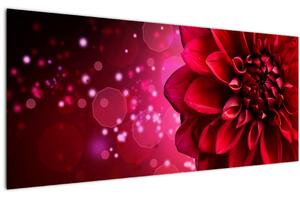 Piros virágok képe (120x50 cm)