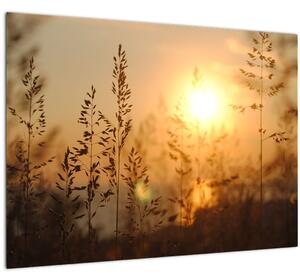 Napkelte képe (70x50 cm)