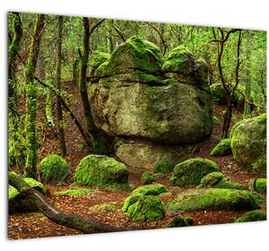 Egy varázslatos erdő képe (70x50 cm)