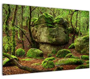 Egy varázslatos erdő képe (90x60 cm)
