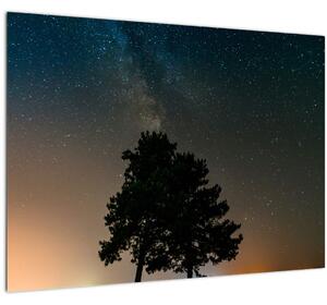 Egy éjszakai égbolt fákkal képe (70x50 cm)