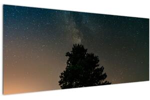 Egy éjszakai égbolt fákkal képe (120x50 cm)