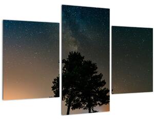 Egy éjszakai égbolt fákkal képe (90x60 cm)