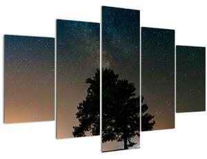 Egy éjszakai égbolt fákkal képe (150x105 cm)