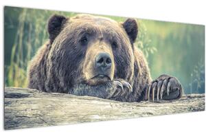 Medve képe (120x50 cm)