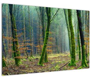 Az erdő képe (90x60 cm)