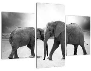 Elefántok képe (90x60 cm)