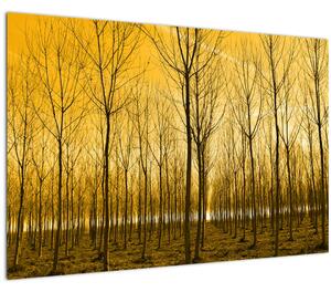 Egy erdő naplementekor képe (90x60 cm)